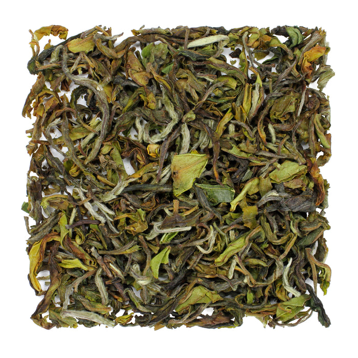 Darjeeling & Himalayan Tea