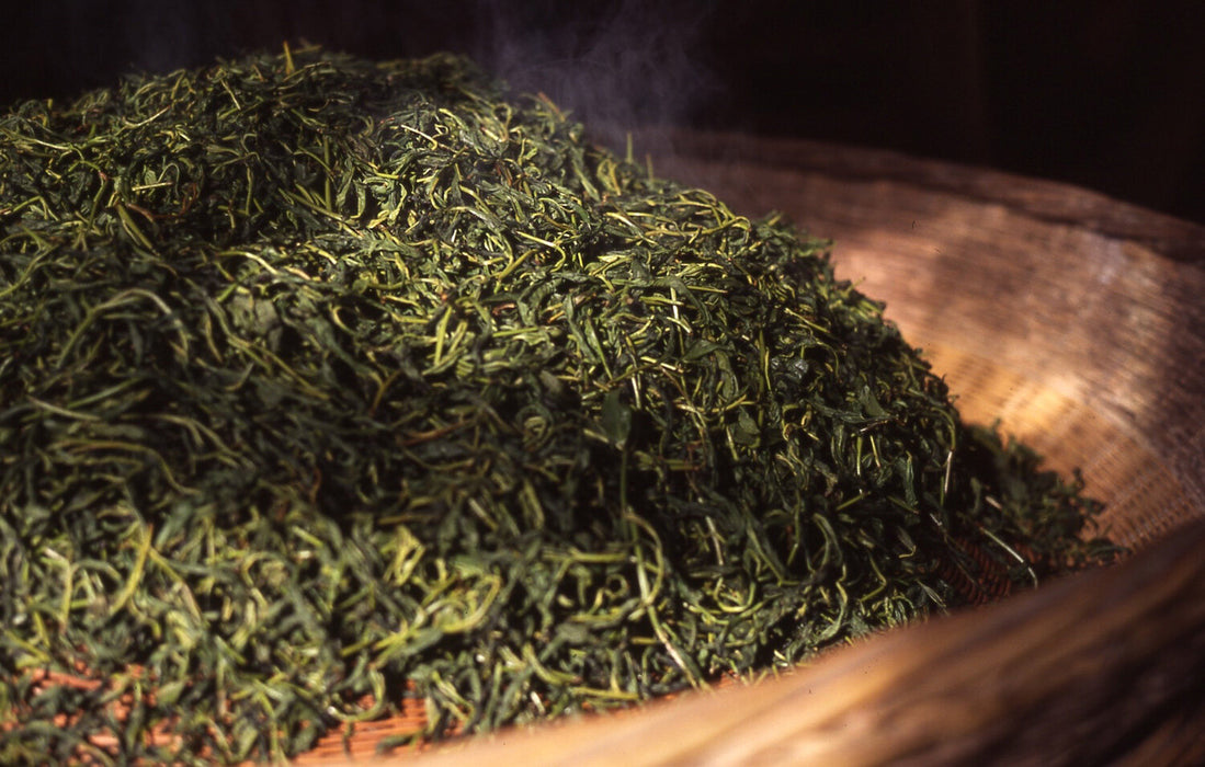 Anhui Yellow Tea sample processing I