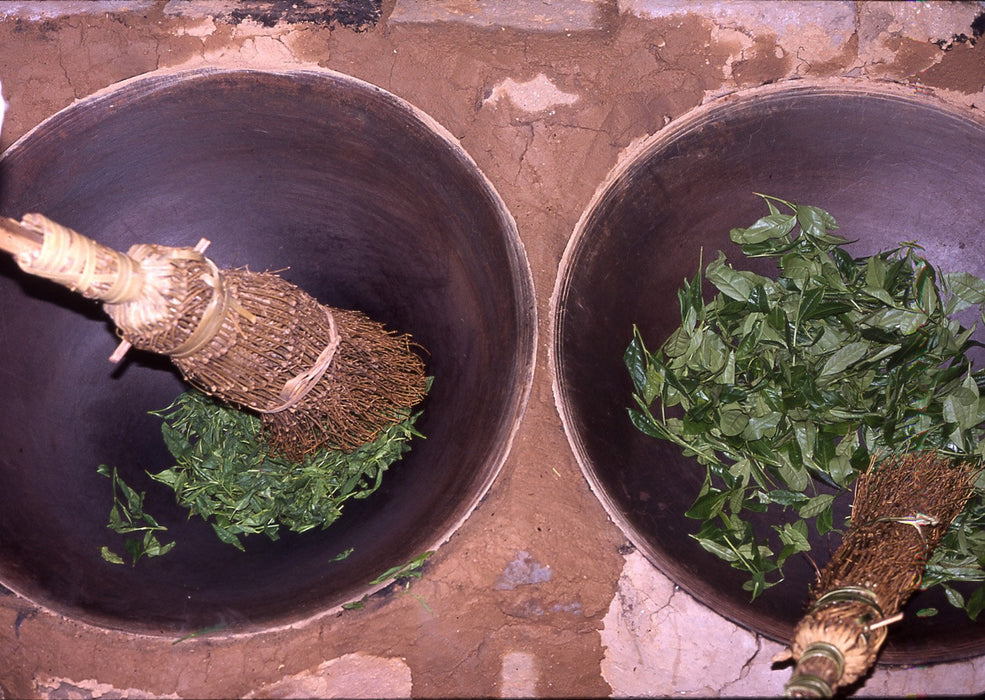 Anhui Yellow Tea sample processing II