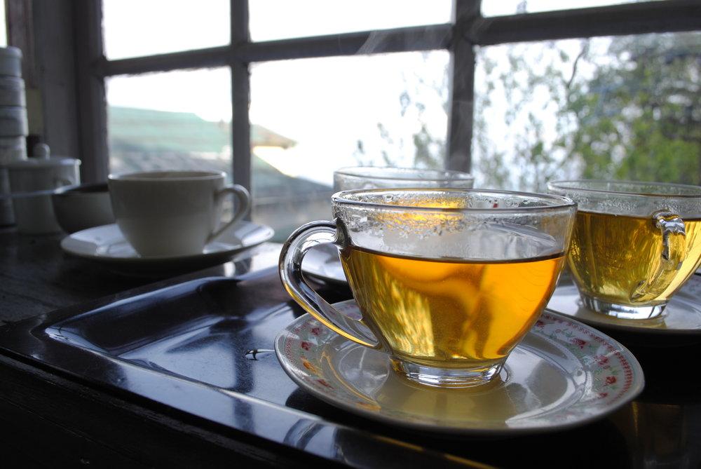 Ticket to Darjeeling 2025 1st Flush Collection