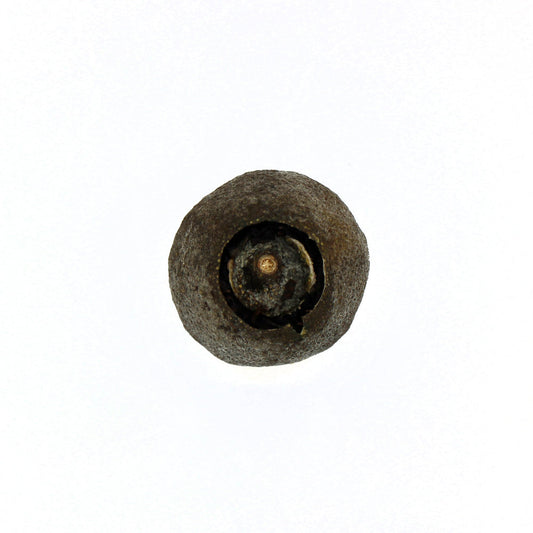 Green Tangerine Pu-erh Tea unwrapped