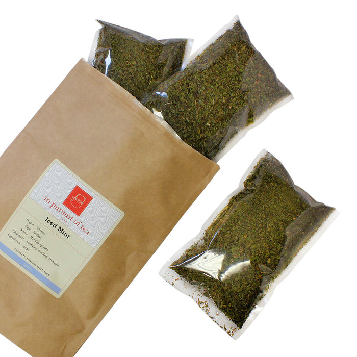 Iced Tea Packets retail bag open