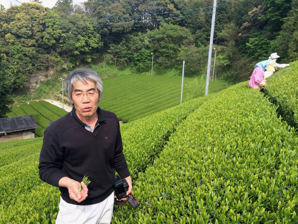 A Champion of Organic Tea in Japan