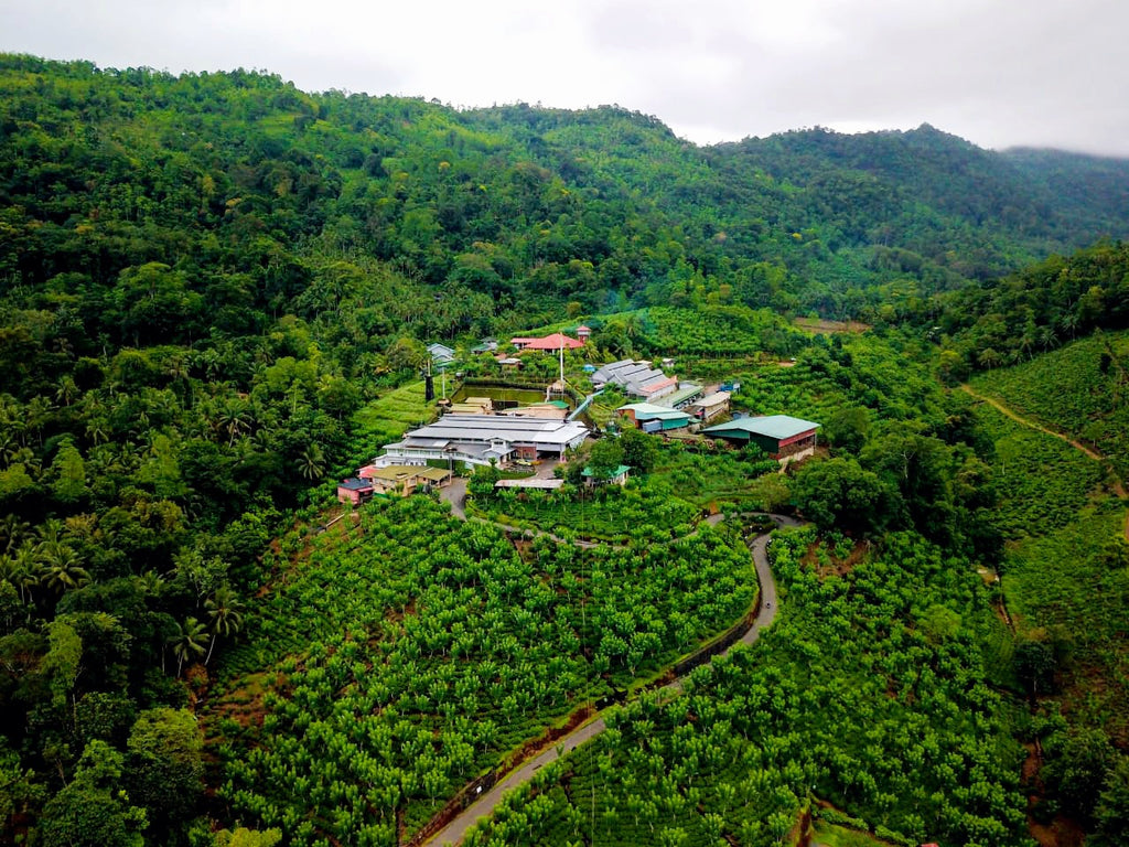 New Vithanakande tea estate, makers of our Ceylon Orange Pekoe tea