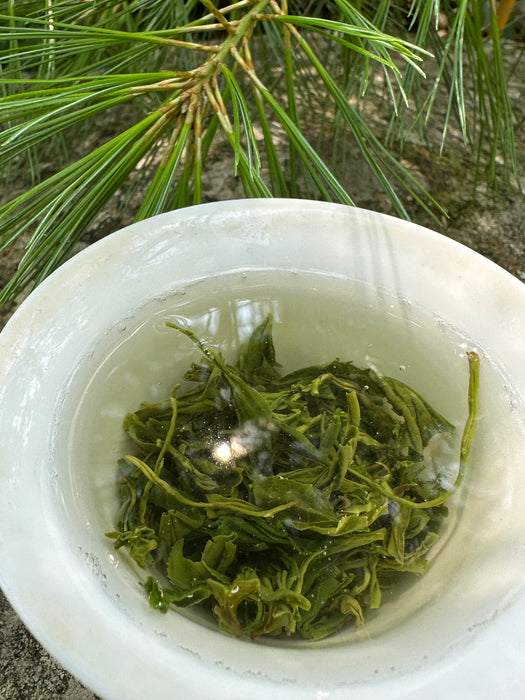 Songzhen Green Tea