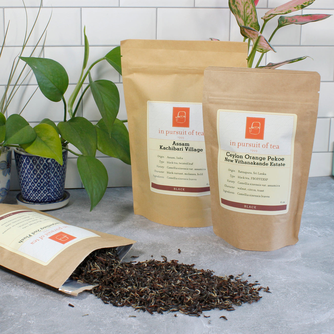 Single Origin Tea - Buy Loose Leaf Tea, Teaware, and Gifts Online – In ...