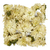 Chrysanthemum - product