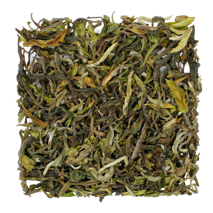 Darjeeling & Himalayan Tea
