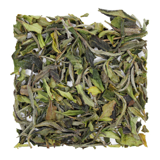 Himalayan White