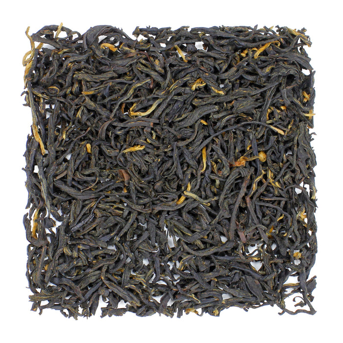 Lapsang Souchong Sample