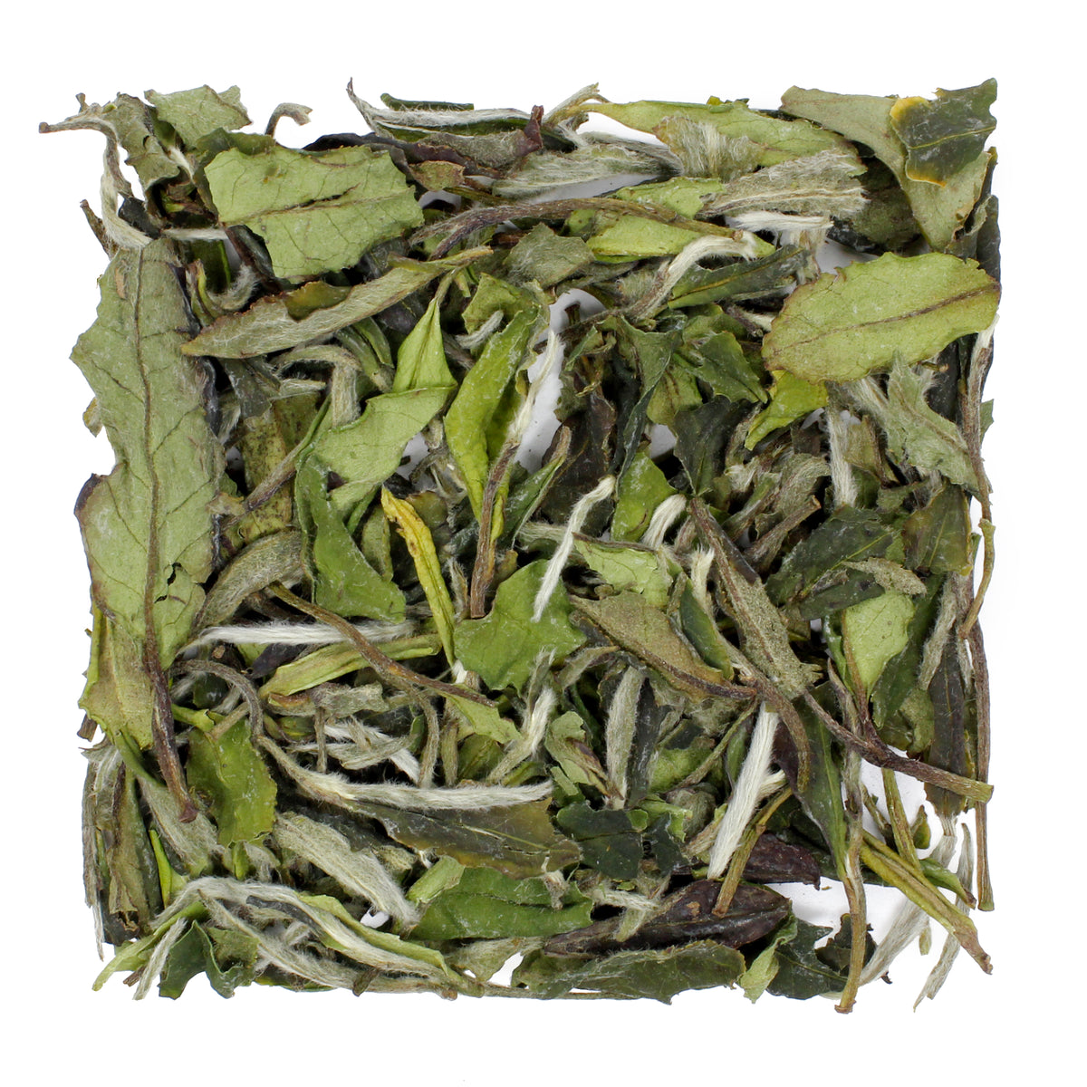 White Peony Bai Mudan - product