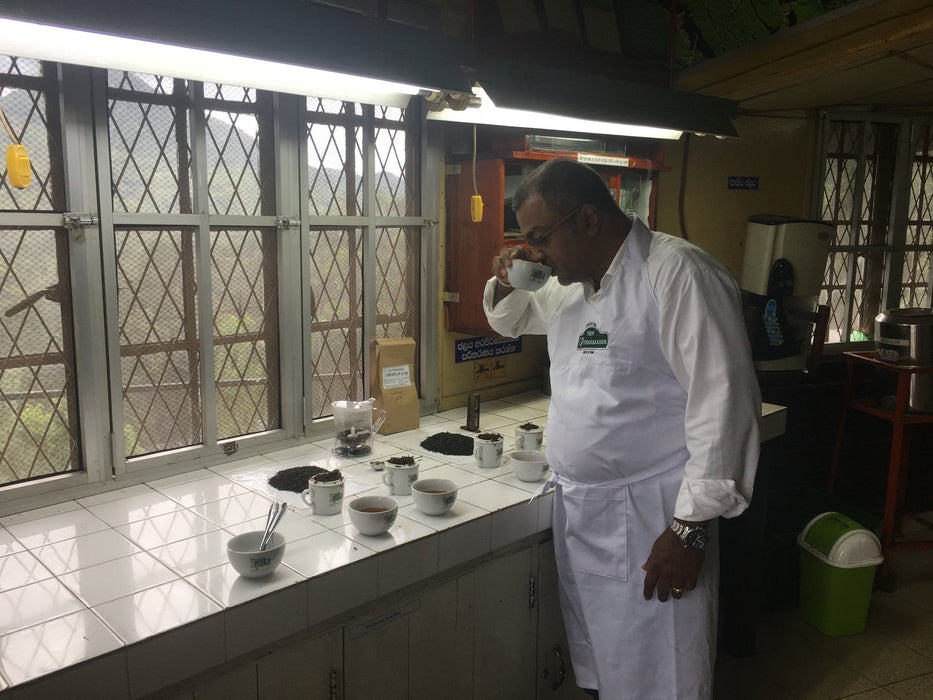 Ceylon Orange Pekoe Black Tea producer