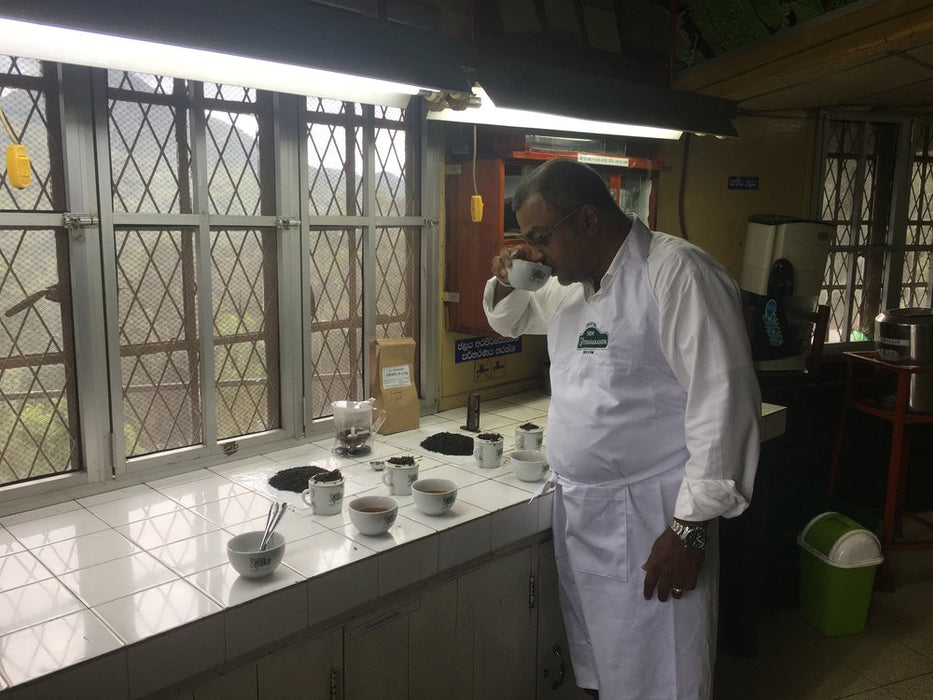 Ceylon Orange Pekoe, New Vithanakande Estate tea producer