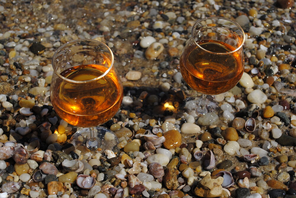 Tulip-Stem Tea Glasses, Set of Two (10 oz) Atmospheric