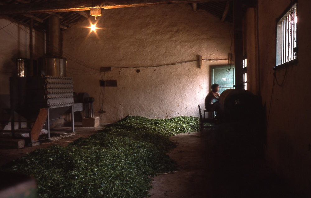 Folk Art Bingcha pu-erh tea production