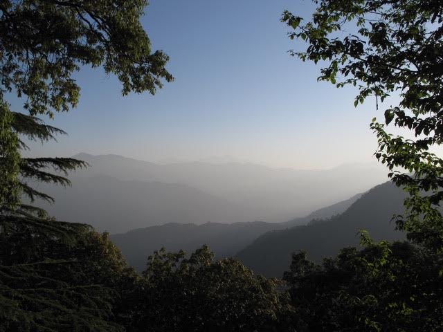 Himalayan Black Tea mountains