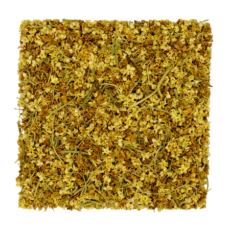 Karnak Farm Elderflower